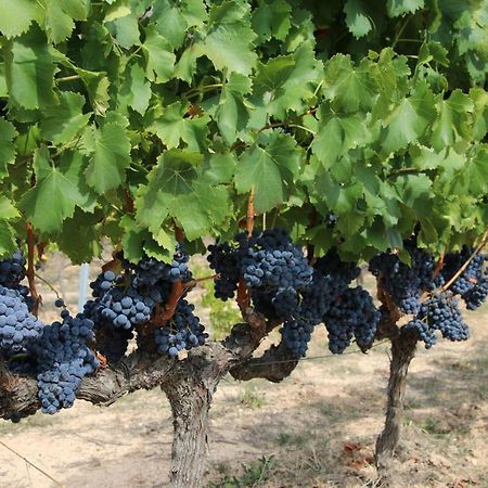 شقة Blau Mari 202 كامبريلس المظهر الخارجي الصورة
